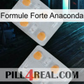 Anaconda Strong Formula 25